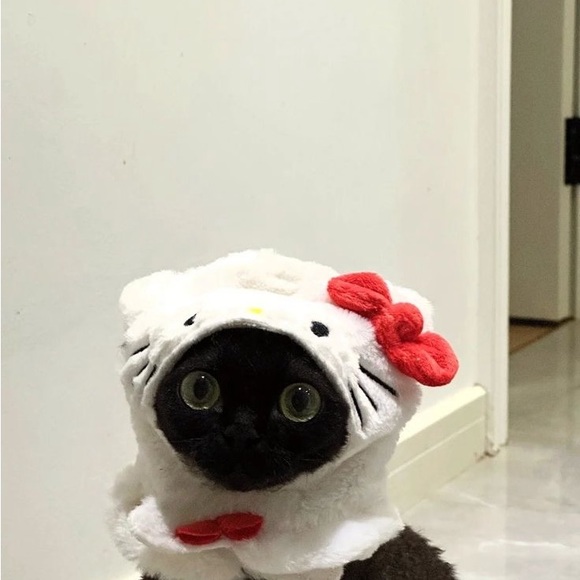 strwbrryzombi